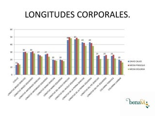 LONGITUDES CORPORALES.
60
50
46
47
43
43
40
30
30
30
27
27
25
20
20
13
10
0
20
25
25
20
DAVID CALVO
MEDIA PINSEQUE
MEDIA SEGUNDA