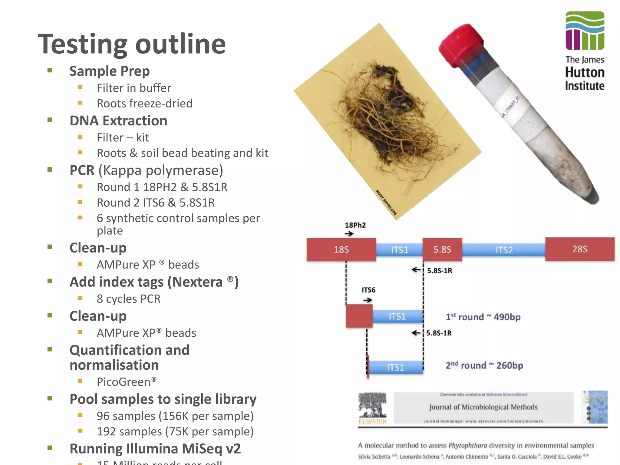 Testing outline
 Sample Prep
 Filter in buffer
 Roots freeze-dried
 DNA Extraction
 Filter – kit
 Roots & soil bead beating and kit
 PCR (Kappa polymerase)
 Round 1 18PH2 & 5.8S1R
 Round 2 ITS6 & 5.8S1R
 6 synthetic control samples per
plate
 Clean-up
 AMPure XP ® beads
 Add index tags (Nextera ®)
 8 cycles PCR
 Clean-up
 AMPure XP® beads
 Quantification and
normalisation
 PicoGreen®
 Pool samples to single library
 96 samples (156K per sample)
 192 samples (75K per sample)
 Running Illumina MiSeq v2
 