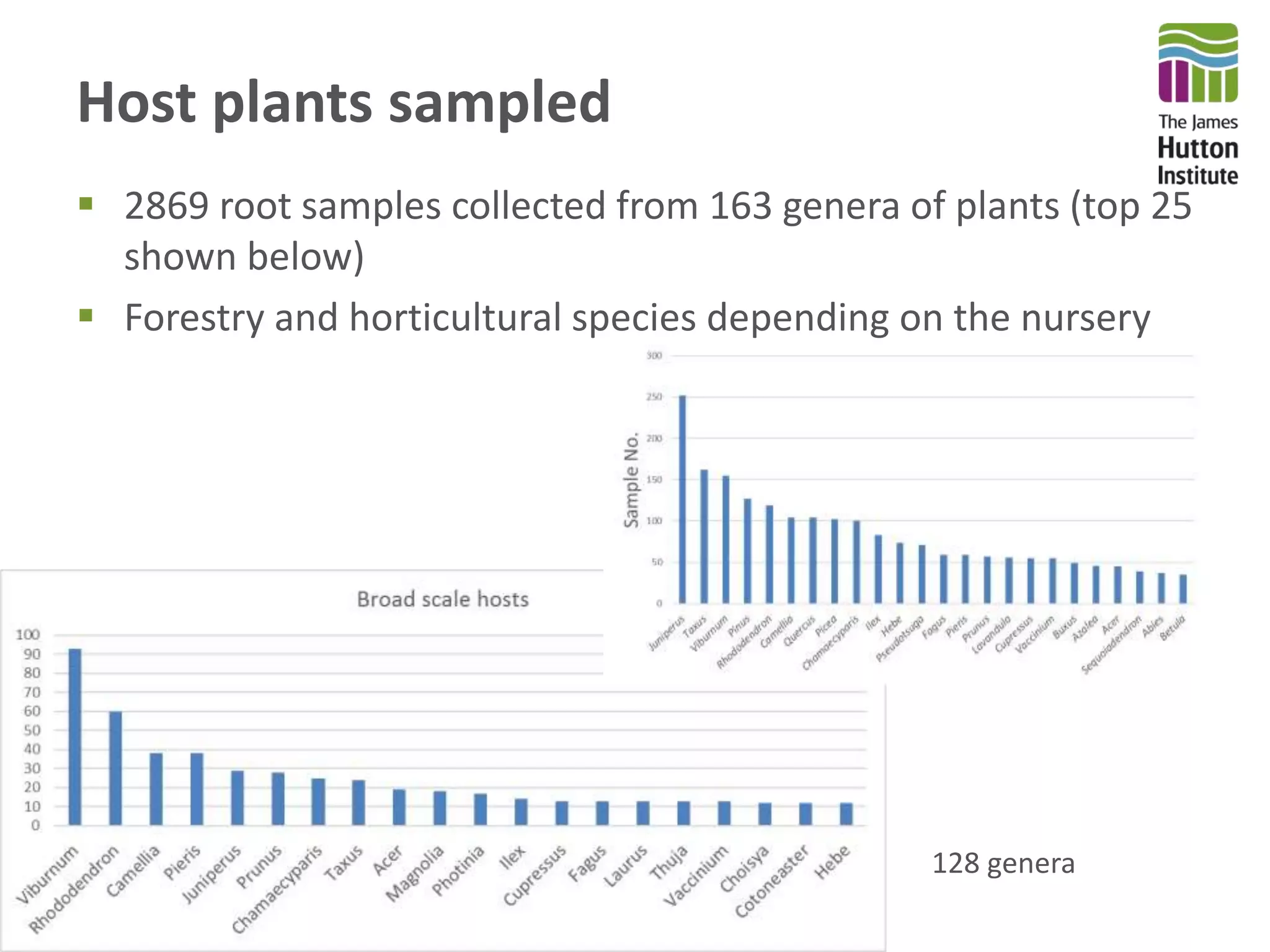 Host plants sampled
 2869 root samples collected from 163 genera of plants (top 25
shown below)
 Forestry and horticultural species depending on the nursery
128 genera
 