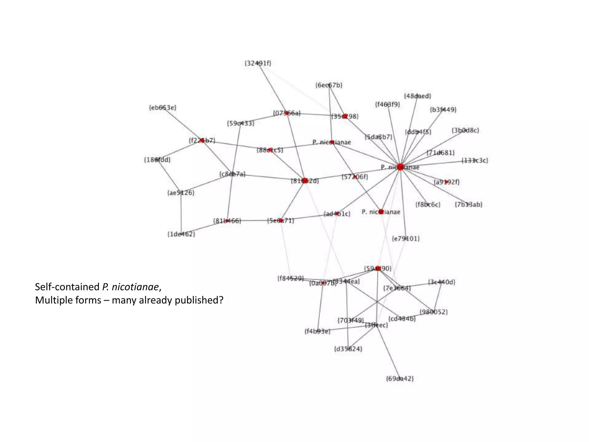 Self-contained P. nicotianae,
Multiple forms – many already published?
 