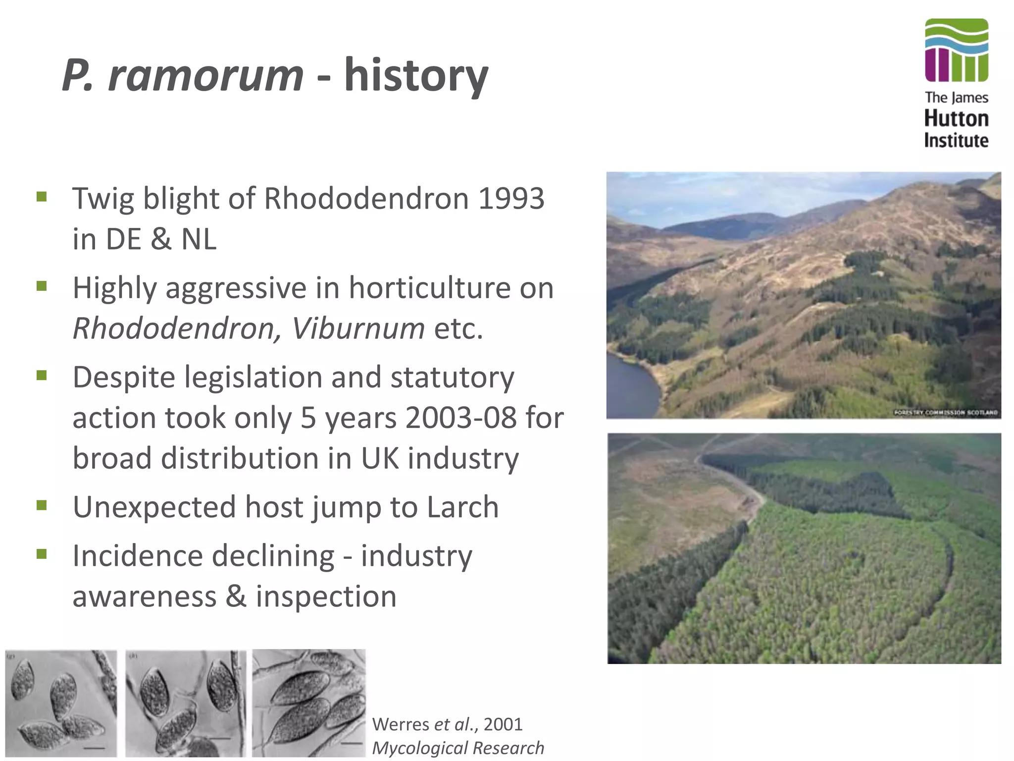 P. ramorum - history
 Twig blight of Rhododendron 1993
in DE & NL
 Highly aggressive in horticulture on
Rhododendron, Viburnum etc.
 Despite legislation and statutory
action took only 5 years 2003-08 for
broad distribution in UK industry
 Unexpected host jump to Larch
 Incidence declining - industry
awareness & inspection
Werres et al., 2001
Mycological Research
 