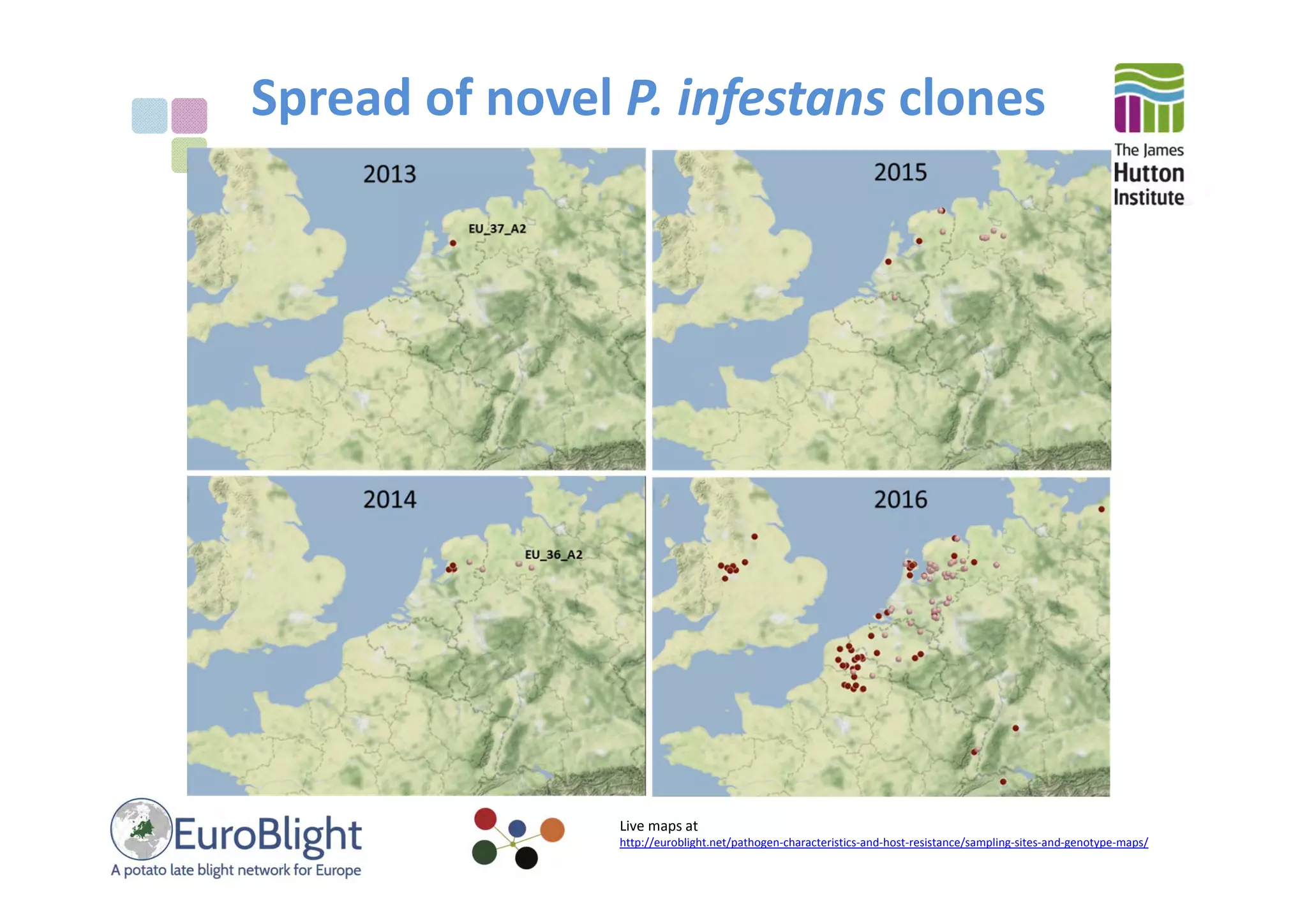 Spread of novel P. infestans clones
Live maps at 
http://euroblight.net/pathogen‐characteristics‐and‐host‐resistance/sampling‐sites‐and‐genotype‐maps/
 
