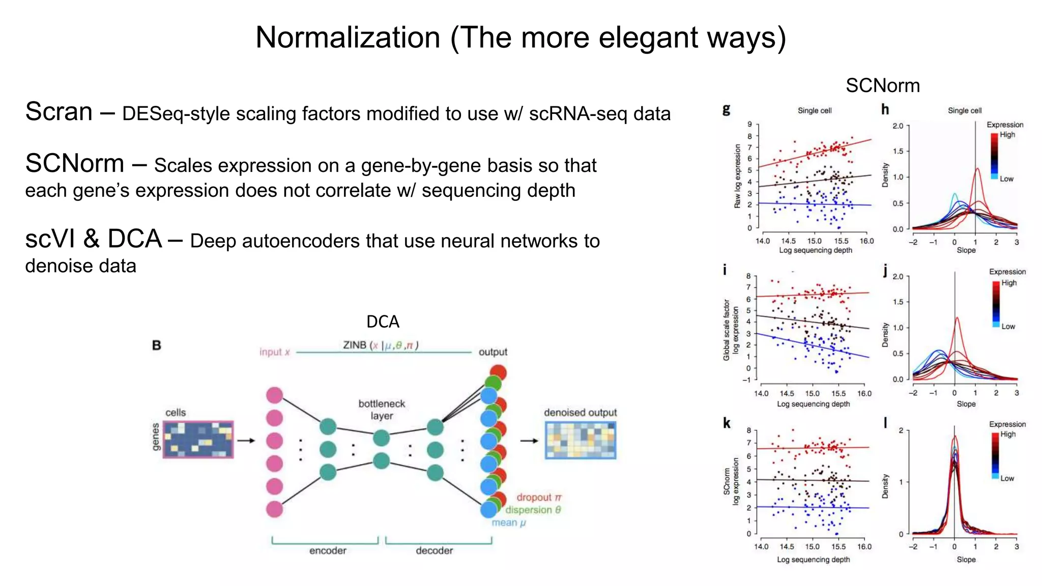 Normalization (The more elegant ways)
Scran – DESeq-style scaling factors modified to use w/ scRNA-seq data
SCNorm – Scales expression on a gene-by-gene basis so that
each gene’s expression does not correlate w/ sequencing depth
SCNorm
scVI & DCA – Deep autoencoders that use neural networks to
denoise data
DCA
 