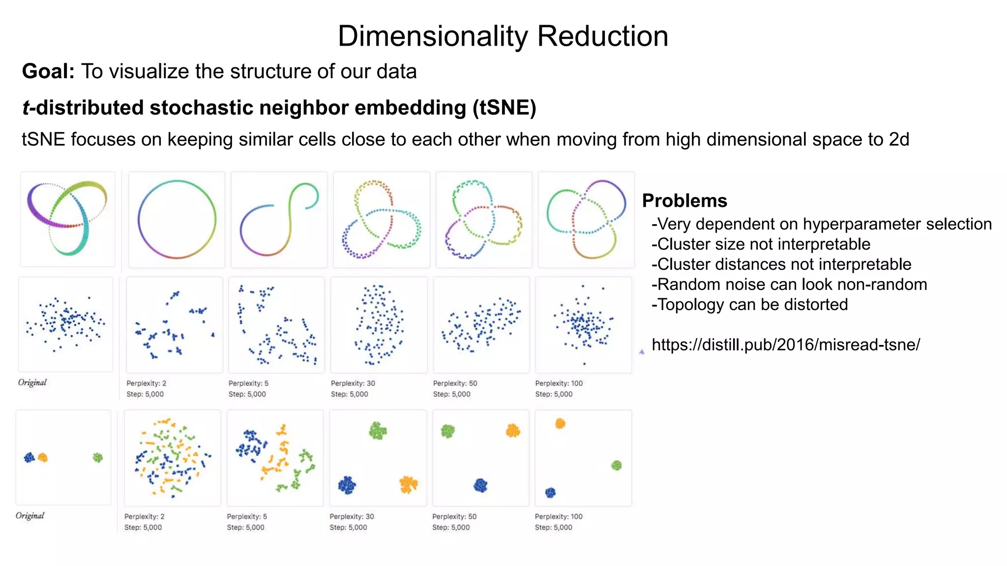 Dimensionality Reduction
Goal: To visualize the structure of our data
t-distributed stochastic neighbor embedding (tSNE)
tSNE focuses on keeping similar cells close to each other when moving from high dimensional space to 2d
Han et al., Cell, 2018
“The Mouse Cell Atlas”
Problems
-Very dependent on hyperparameter selection
-Cluster size not interpretable
-Cluster distances not interpretable
-Random noise can look non-random
-Topology can be distorted
https://distill.pub/2016/misread-tsne/
 