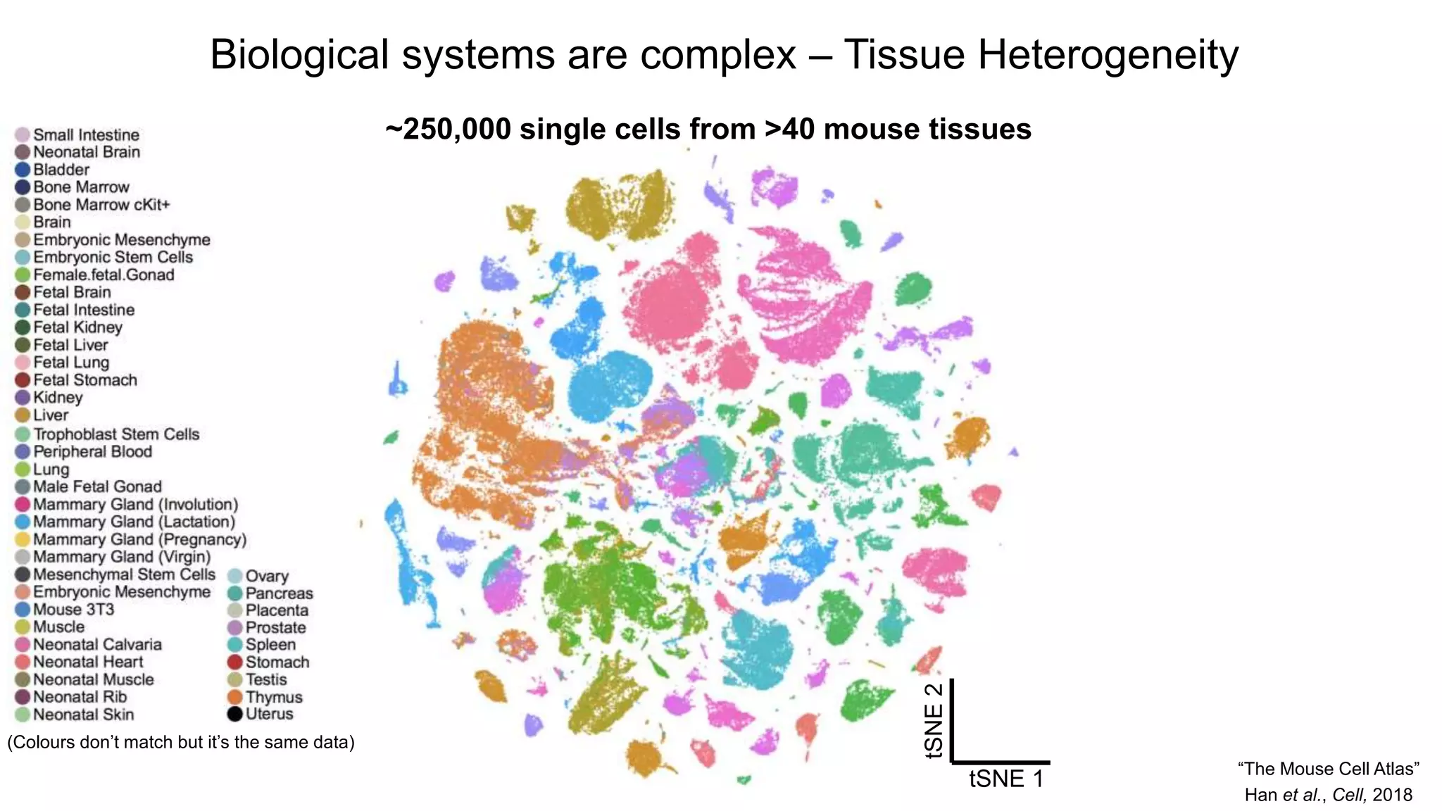Biological systems are complex – Tissue Heterogeneity
~250,000 single cells from >40 mouse tissues
Han et al., Cell, 2018
tSNE 1
tSNE2
“The Mouse Cell Atlas”
(Colours don’t match but it’s the same data)
 