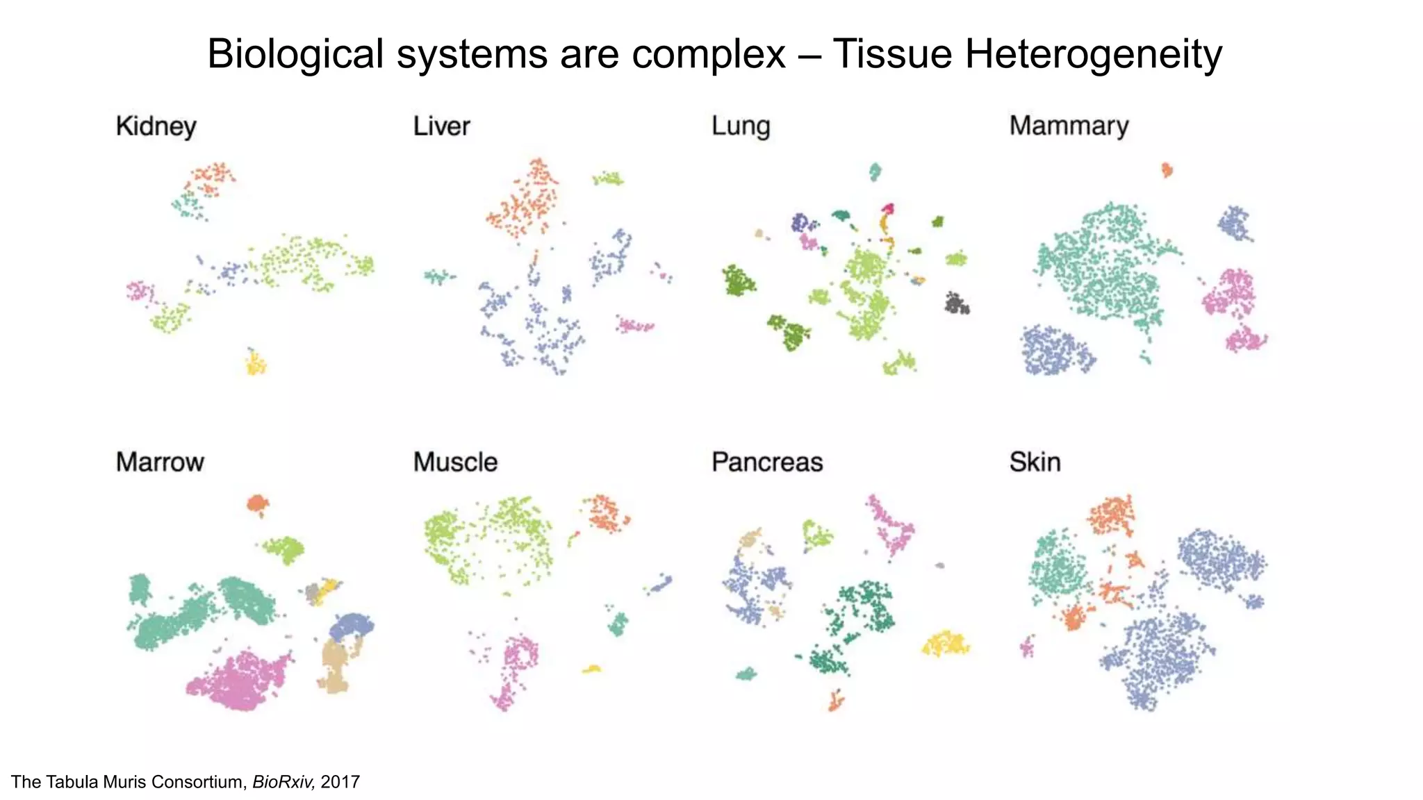 The Tabula Muris Consortium, BioRxiv, 2017
Biological systems are complex – Tissue Heterogeneity
 