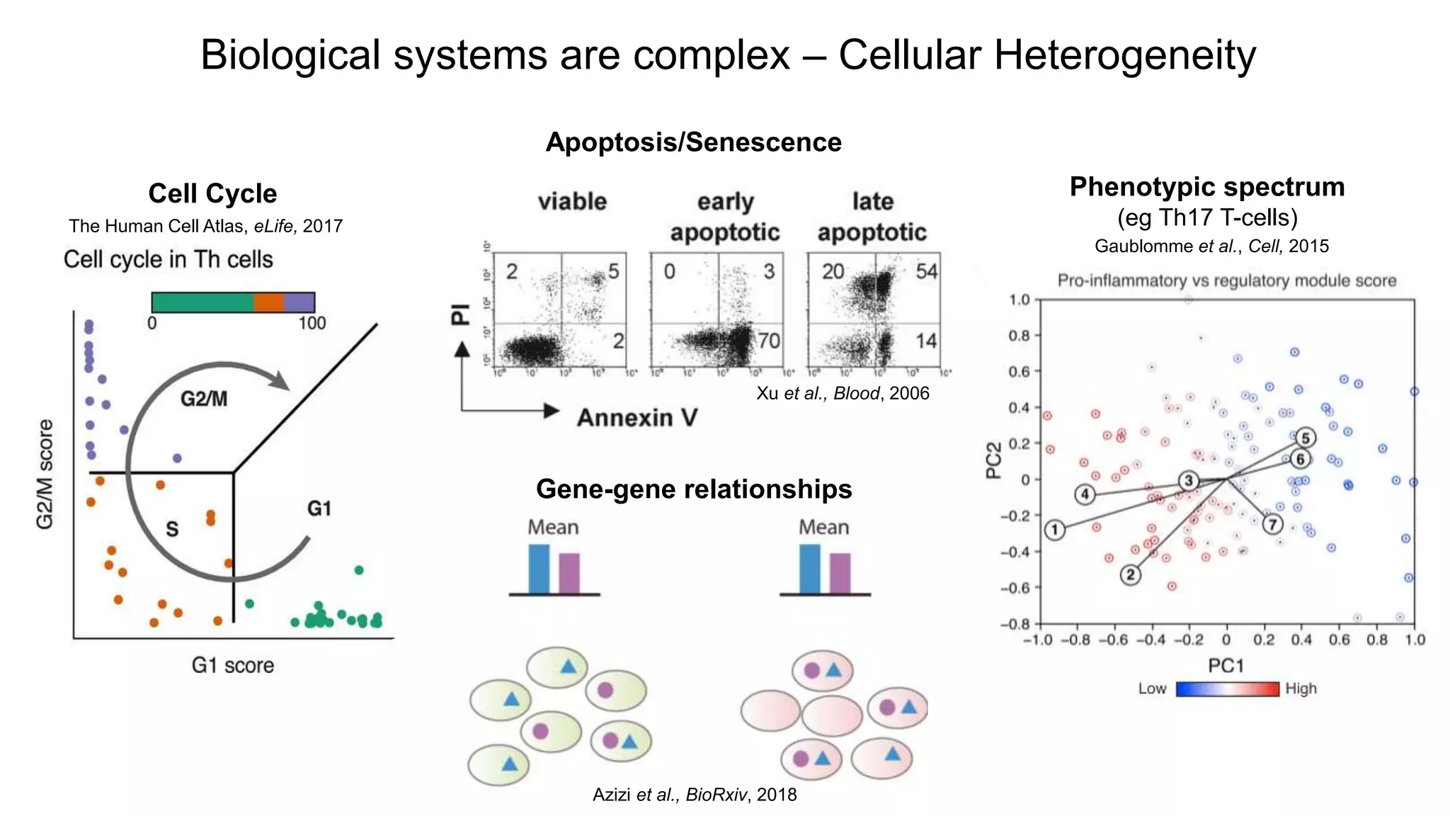 Cell Cycle
Apoptosis/Senescence
Xu et al., Blood, 2006
The Human Cell Atlas, eLife, 2017
Phenotypic spectrum
(eg Th17 T-cells)
Gaublomme et al., Cell, 2015
Gene-gene relationships
Biological systems are complex – Cellular Heterogeneity
Azizi et al., BioRxiv, 2018
 
