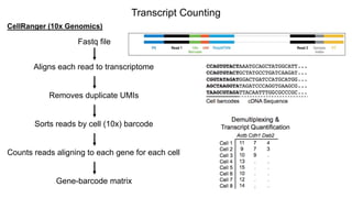 scRNA-Seq Workshop Presentation - Stem Cell Network 2018 | PPTX