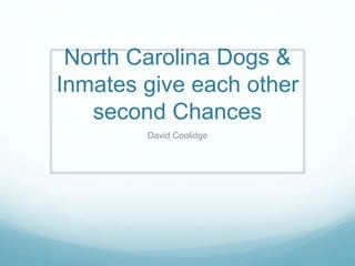 North Carolina Dogs & 
Inmates give each other 
second Chances 
David Coolidge 
 