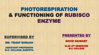 PHOTORESPIRATION
& FUNCTIONING OF RUBISCO
ENZYME
PRESENTED BY
DAVID DAIMARY
M.SC 2ND SEMESTER
M.C COLLEGE
SUPERVISED BY
MR. TRIDIP BORUAH
ASSISTANT PROFESSOR
M.C. COLLEGE, BARPETA
 