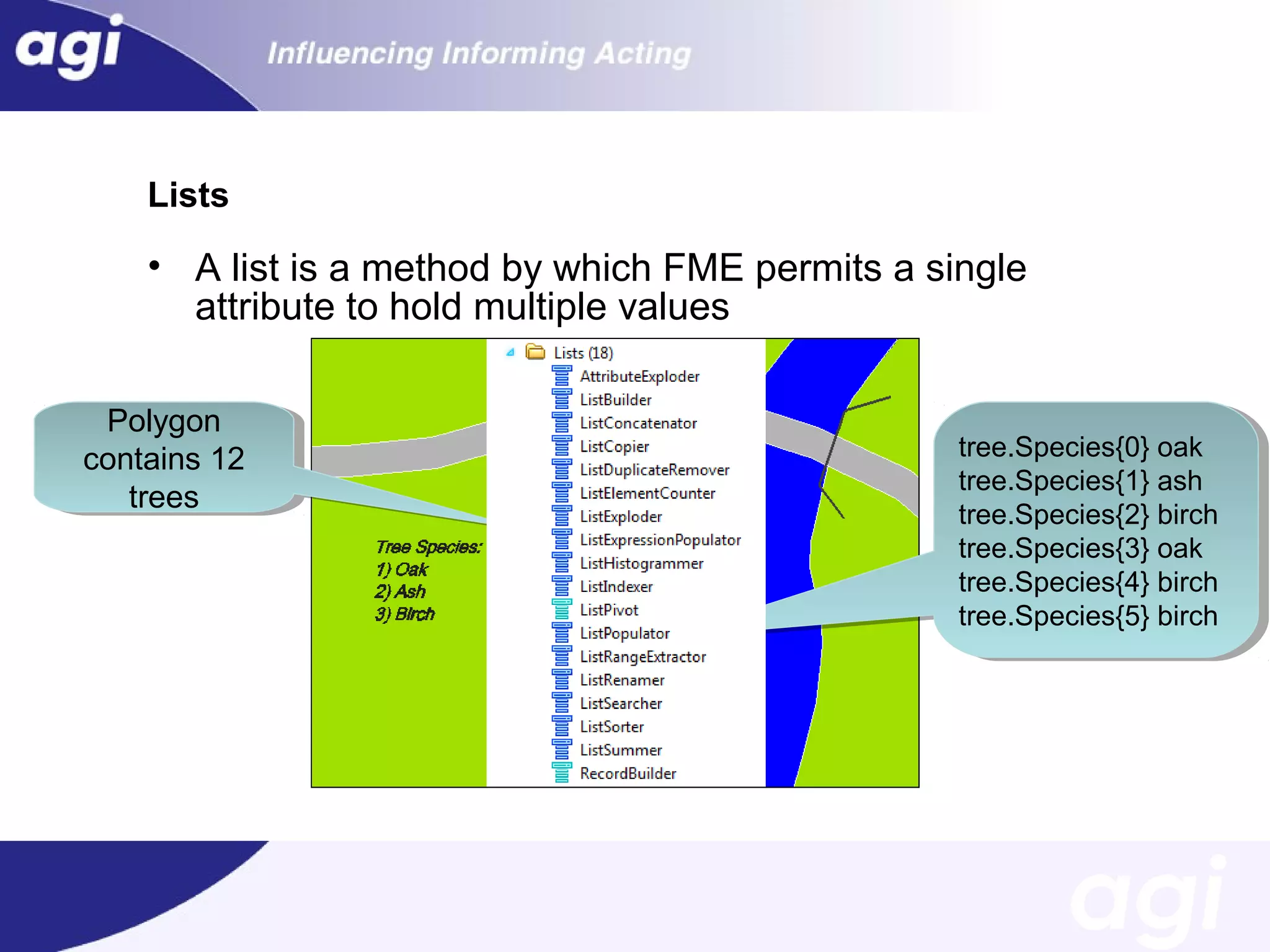 Lists

• A list is a method by which FME permits a single
attribute to hold multiple values
Polygon
Polygon
contains 12
contains 12
trees
trees

tree.Species{0} oak
tree.Species{0} oak
tree.Species{1} ash
tree.Species{1} ash
tree.Species{2} birch
tree.Species{2} birch
tree.Species{3} oak
tree.Species{3} oak
tree.Species{4} birch
tree.Species{4} birch
tree.Species{5} birch
tree.Species{5} birch

 