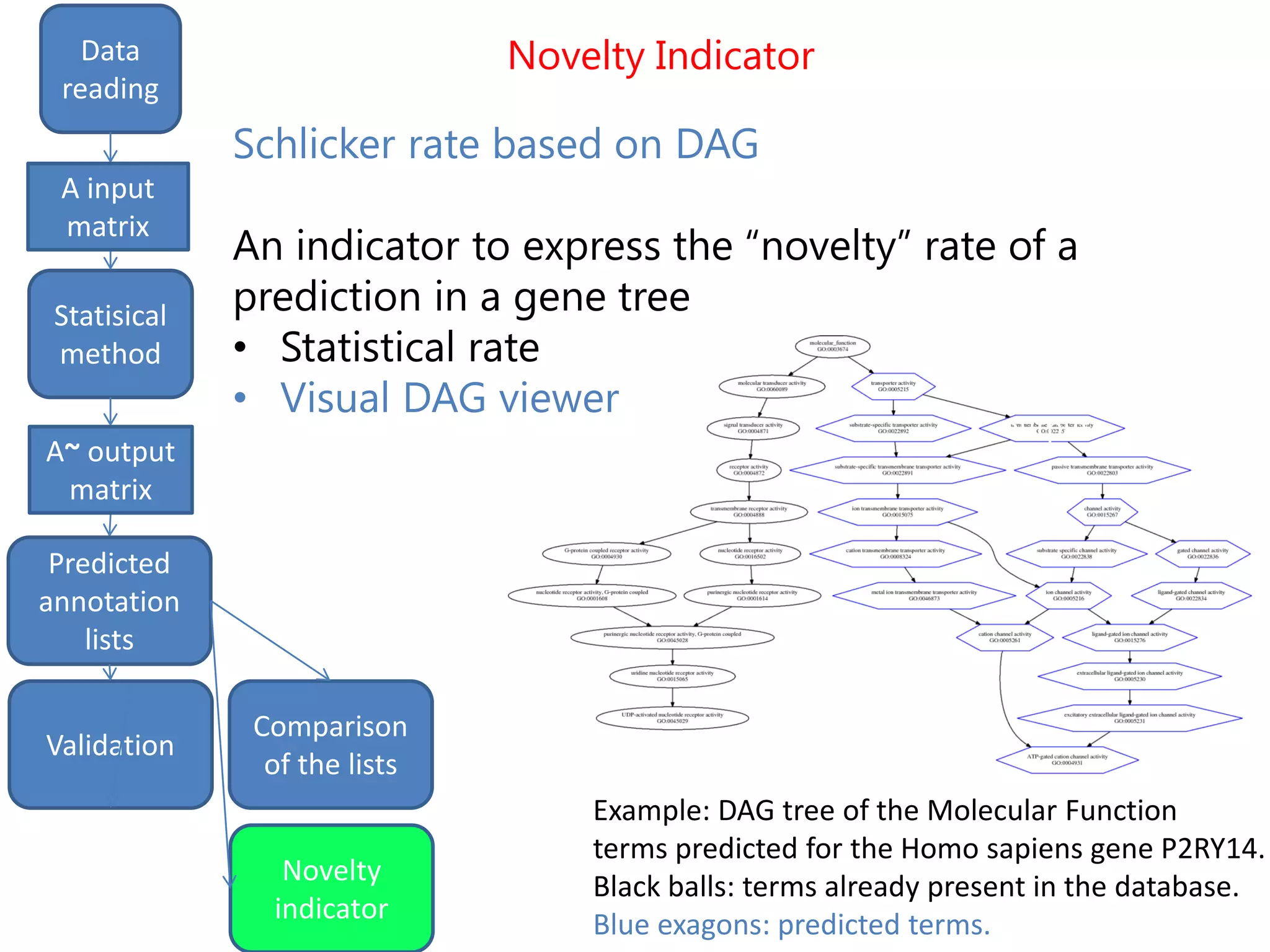 Example: DAG tree of the Molecular Function
terms predicted for the Homo sapiens gene P2RY14.
Black balls: terms already present in the database.
Blue exagons: predicted terms.
Novelty Indicator
input
matrix
outputStatistical
method
Data
reading
Statisical
method
A input
matrix
A~ output
matrix
Predicted
annotation
lists
Novelty
indicator
Schlicker rate based on DAG
An indicator to express the “novelty” rate of a
prediction in a gene tree
• Statistical rate
• Visual DAG viewer
Comparison
of the lists
Validation
 