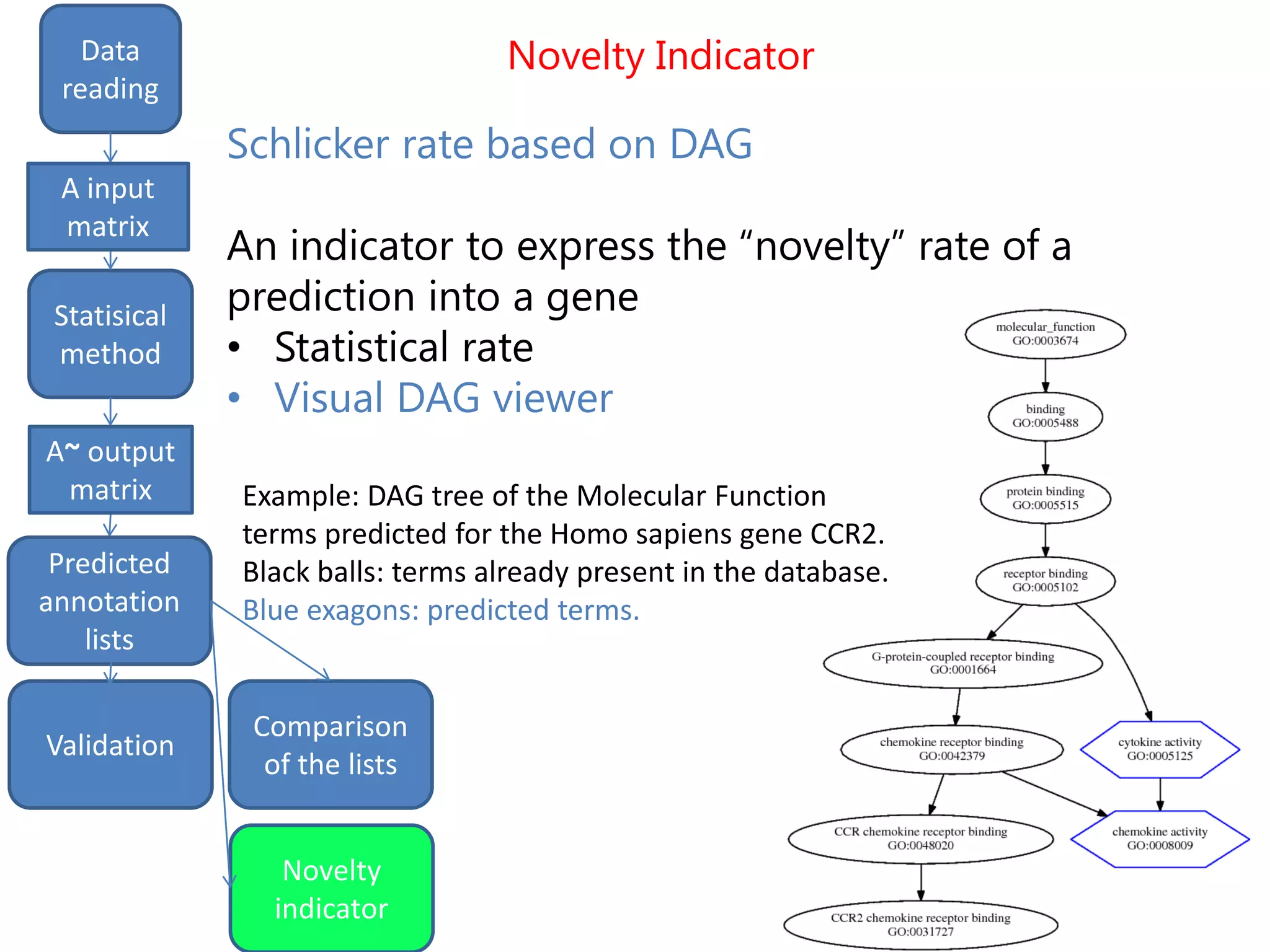 Example: DAG tree of the Molecular Function
terms predicted for the Homo sapiens gene CCR2.
Black balls: terms already present in the database.
Blue exagons: predicted terms.
Novelty Indicator
input
matrix
Statistical
method
Data
reading
Statisical
method
A input
matrix
A~ output
matrix
Predicted
annotation
lists
Validation
Novelty
indicator
Schlicker rate based on DAG
An indicator to express the “novelty” rate of a
prediction into a gene
• Statistical rate
• Visual DAG viewer
Comparison
of the lists
 