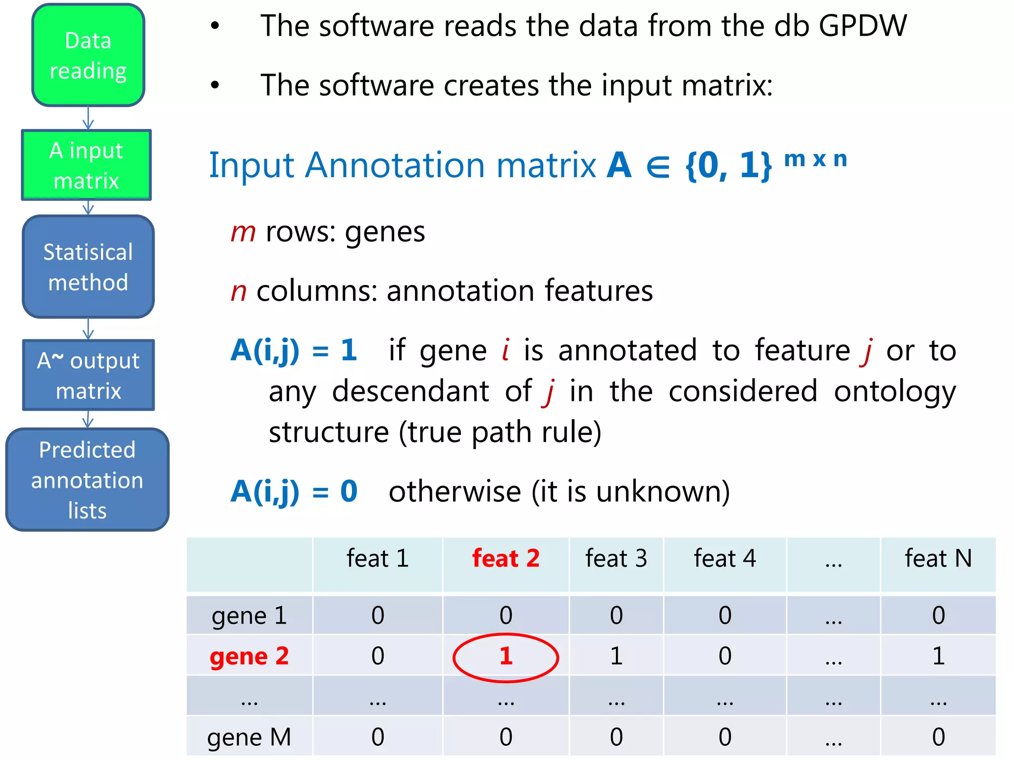 input
matrix
outputStatistical
method
Data
reading
Statisical
method
Predicted
annotation
lists
A input
matrix
A~ output
matrix
• The software reads the data from the db GPDW
• The software creates the input matrix:
Input Annotation matrix A  {0, 1} m x n
m rows: genes
n columns: annotation features
A(i,j) = 1 if gene i is annotated to feature j or to
any descendant of j in the considered ontology
structure (true path rule)
A(i,j) = 0 otherwise (it is unknown)
feat 1 feat 2 feat 3 feat 4 … feat N
gene 1 0 0 0 0 … 0
gene 2 0 1 1 0 … 1
… … … … … … …
gene M 0 0 0 0 … 0
 