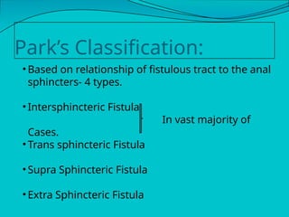 Parks Classification Comprehensive Overview of Anal Fissure, Fistula in Ano, and Anorectal ...