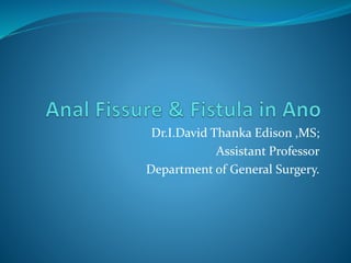 Dr.I.David Thanka Edison ,MS;
Assistant Professor
Department of General Surgery.
 