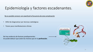 Epidemiología y factores escadenantes.
18
No es posible conocer con exactitud la frecuencia de esta complicación
• Difícil de diagnosticar por técnicas radiológicas
• Tienen poca manifestaciones clínicas
No hay evidencia de factores predisponentes.
Se puede deducir que serán los mismos que en la perforación.
.
.
.
 