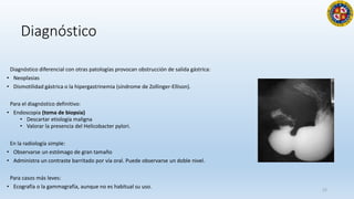 Diagnóstico
Diagnóstico diferencial con otras patologías provocan obstrucción de salida gástrica:
• Neoplasias
• Dismotilidad gástrica o la hipergastrinemia (síndrome de Zollinger-Ellison).
Para el diagnóstico definitivo:
• Endoscopia (toma de biopsia)
• Descartar etiología maligna
• Valorar la presencia del Helicobacter pylori.
En la radiología simple:
• Observarse un estómago de gran tamaño
• Administra un contraste barritado por vía oral. Puede observarse un doble nivel.
Para casos más leves:
• Ecografía o la gammagrafía, aunque no es habitual su uso. 22
 