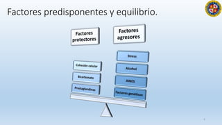 Factores predisponentes y equilibrio.
4
 