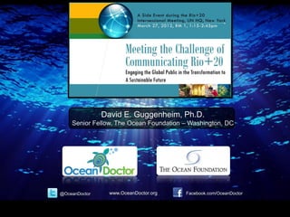 David E. Guggenheim, Ph.D.
    Senior Fellow, The Ocean Foundation – Washington, DC




@OceanDoctor     www.OceanDoctor.org    Facebook.com/OceanDoctor
 