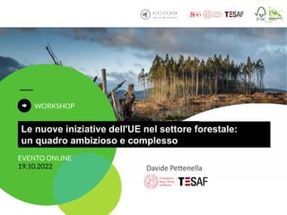 Davide Pettenella
Le nuove iniziative dell'UE nel settore forestale:
un quadro ambizioso e complesso
 