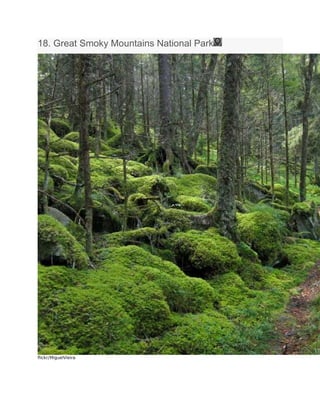 18. Great Smoky Mountains National Park
flickr/MiguelVieira
 