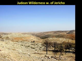 Judean Wilderness w. of Jericho 