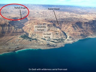 En Gedi with wilderness aerial from east En Gedi with wilderness aerial from east Nahal Arugot Nahal David Chalcolithic Temple En Gedi Spring 