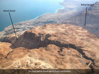 En Gedi Nahal David aerial from northwest En Gedi Nahal David aerial from northwest Nahal David Nahal Arugot 