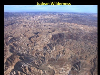 Judean Wilderness 