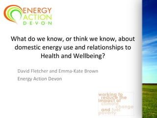 What do we know, or think we know, about domestic energy use and relationships to Health and Wellbeing? David Fletcher and Emma-Kate Brown Energy Action Devon 