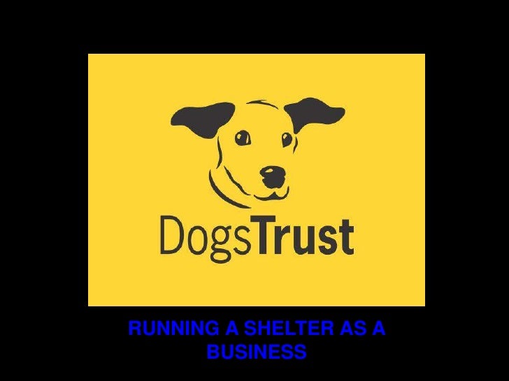 RUNNING A SHELTER AS A      BUSINESS 