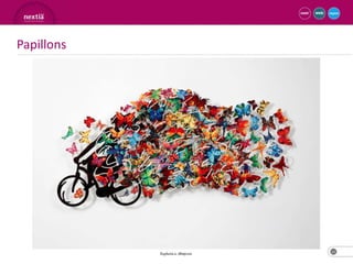 Papillons




            12
 