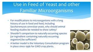 ∗ For modifications to microorganisms with a long
history of use in food and feed, including
Saccharomyces cerevisiae yeast, why should animal
feeding studies be needed to show safety?
∗ Shouldn’t comparison to naturally-occurring species
(or ingredient containing naturally-occurring
organism) be sufficient?
∗ A better model is the Voluntary Consultation program
in place since 1996 for GMO crop plants.
Use in Feed of Yeast and other
Familiar Microorganisms
 