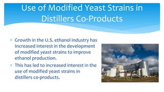 Use of Modified Yeast Strains in
Distillers Co-Products
∗ Growth in the U.S. ethanol industry has
Increased interest in the development
of modified yeast strains to improve
ethanol production.
∗ This has led to increased interest in the
use of modified yeast strains in
distillers co-products.
 