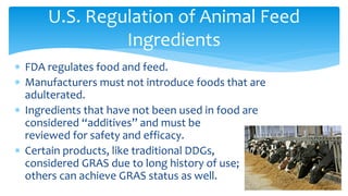 ∗ FDA regulates food and feed.
∗ Manufacturers must not introduce foods that are
adulterated.
∗ Ingredients that have not been used in food are
considered “additives” and must be
reviewed for safety and efficacy.
∗ Certain products, like traditional DDGs,
considered GRAS due to long history of use;
others can achieve GRAS status as well.
U.S. Regulation of Animal Feed
Ingredients
 