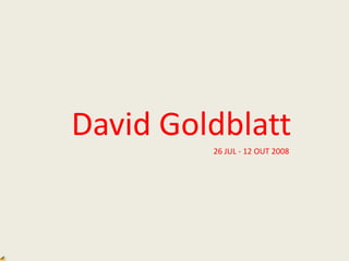 David Goldblatt
         26 JUL - 12 OUT 2008
 