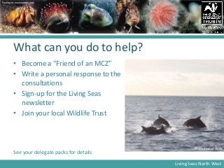 Marine Conservation Zones- David Harpley