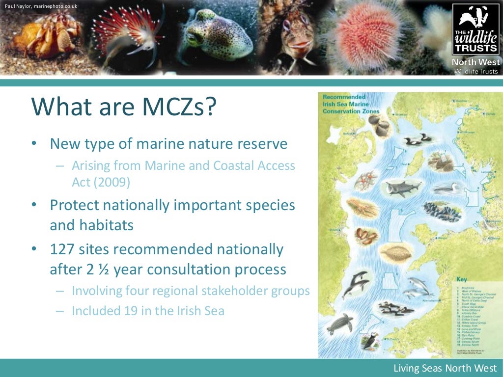 Marine Conservation Zones- David Harpley