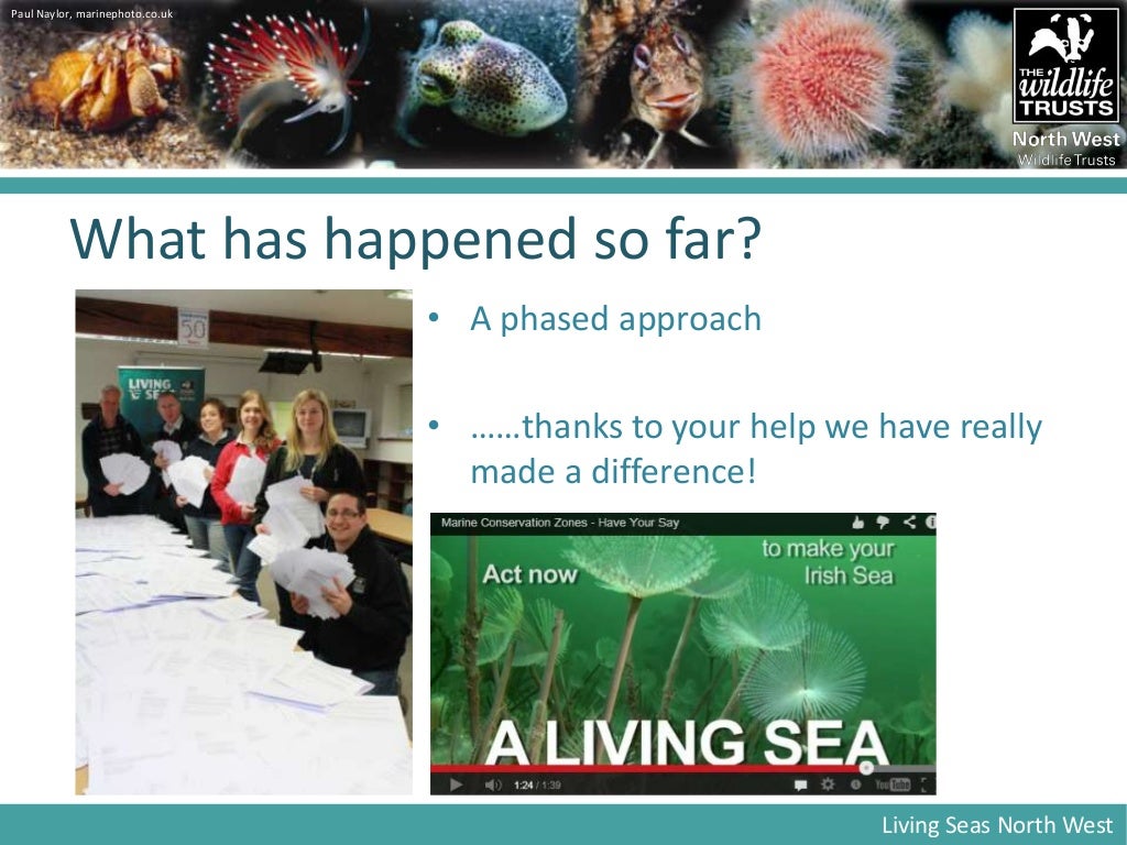 Marine Conservation Zones- David Harpley