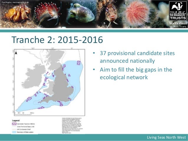 Marine Conservation Zones- David Harpley