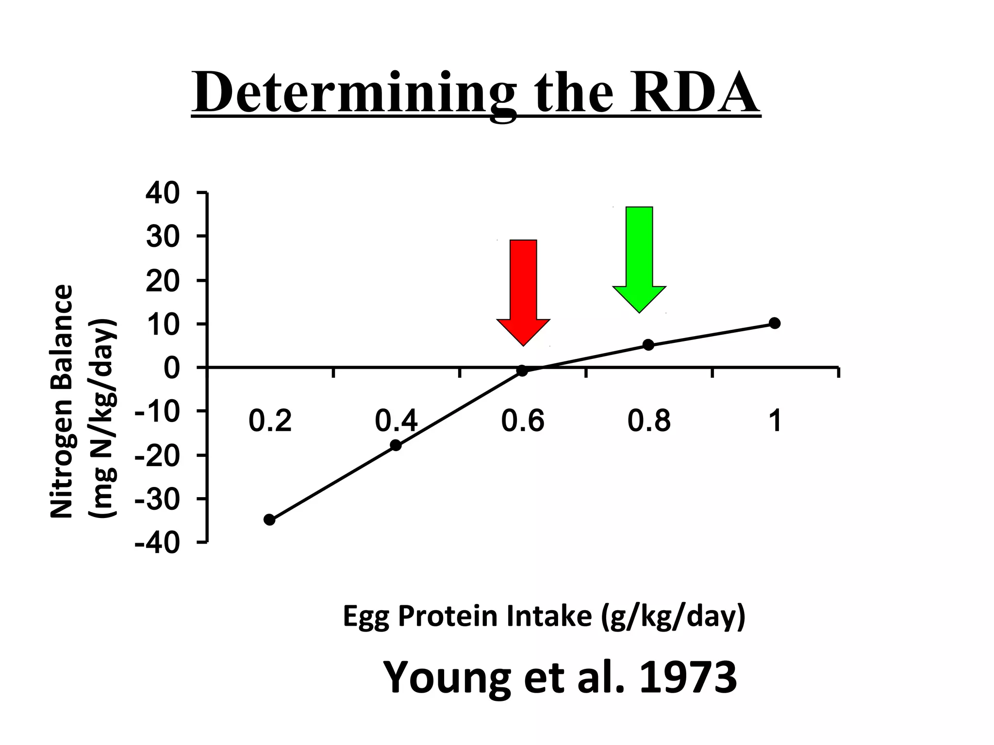 Determining the RDA
-40
-30
-20
-10
0
10
20
30
40
0.2 0.4 0.6 0.8 1
Egg Protein Intake (g/kg/day)
NitrogenBalance
(mgN/kg/day)
Young et al. 1973
 