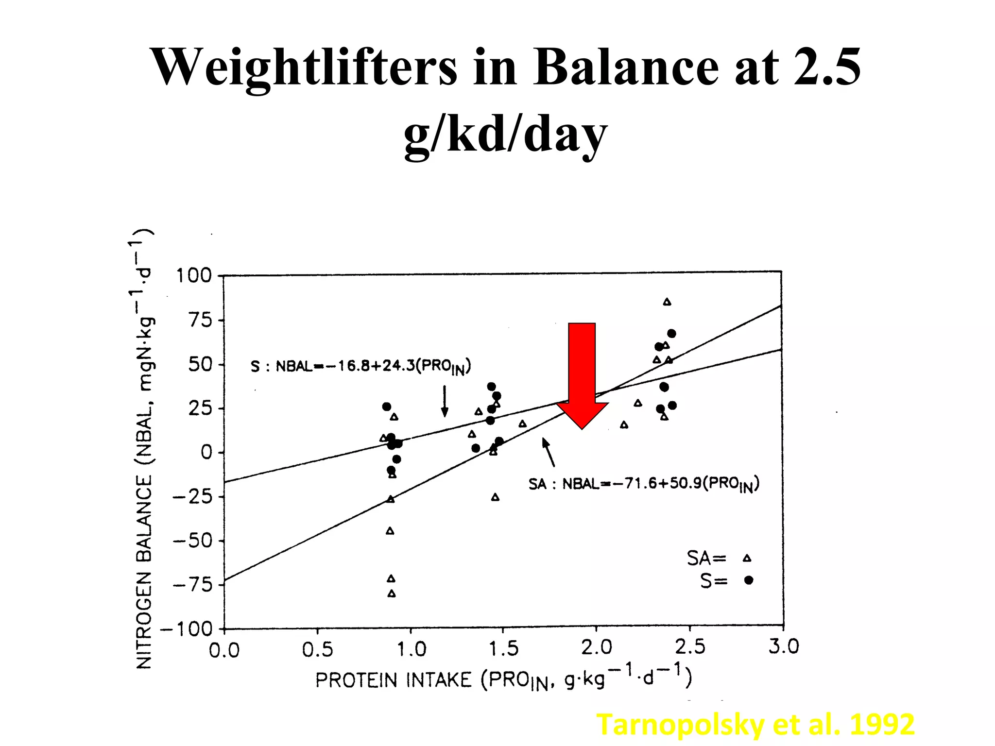 Weightlifters in Balance at 2.5
g/kd/day
Tarnopolsky et al. 1992
 
