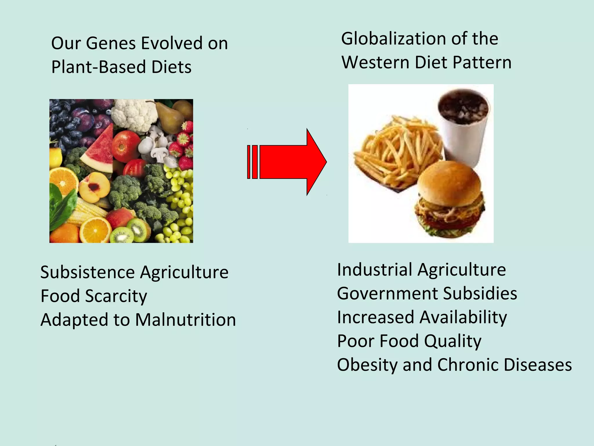 Our Genes Evolved on
Plant-Based Diets
Subsistence Agriculture
Food Scarcity
Adapted to Malnutrition
Globalization of the
Western Diet Pattern
Industrial Agriculture
Government Subsidies
Increased Availability
Poor Food Quality
Obesity and Chronic Diseases
 