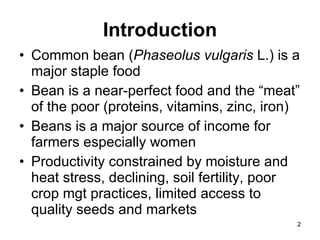 Value added bean technologies for enhancing food security, nutrition, income and resilience to cope with climate change and variability challenges in eastern Africa