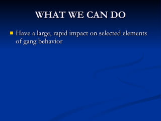 WHAT WE CAN DO Have a large, rapid impact on selected elements of gang behavior 