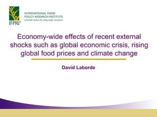 Economy-wide effects of recent external
shocks such as global economic crisis, rising
global food prices and climate change
David Laborde
 