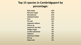 Top 15 species in Cambridgeport by
percentage:
Red maple 13%
Norway maple 13%
Honeylocust 11%
Littleleaf linden 11%
Pear 11%
Pin oak 5%
Japanese zelkova 4%
Cherry sp 2%
Japanese tree lilac 2%
Hedge maple 2%
London planetree 2%
Sophora 2%
American linden 2%
Elm sp 2%
Green ash 2%
 