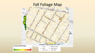 Fall Foliage Map
 