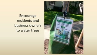 Encourage
residents and
business owners
to water trees
 